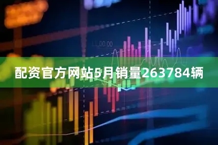 配资官方网站5月销量263784辆