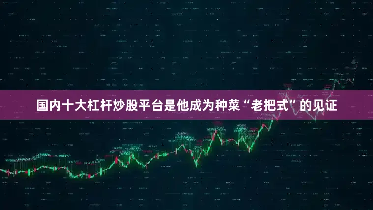 国内十大杠杆炒股平台是他成为种菜“老把式”的见证