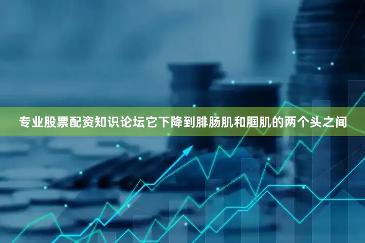 专业股票配资知识论坛它下降到腓肠肌和腘肌的两个头之间