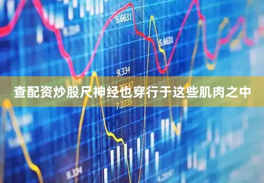 查配资炒股尺神经也穿行于这些肌肉之中
